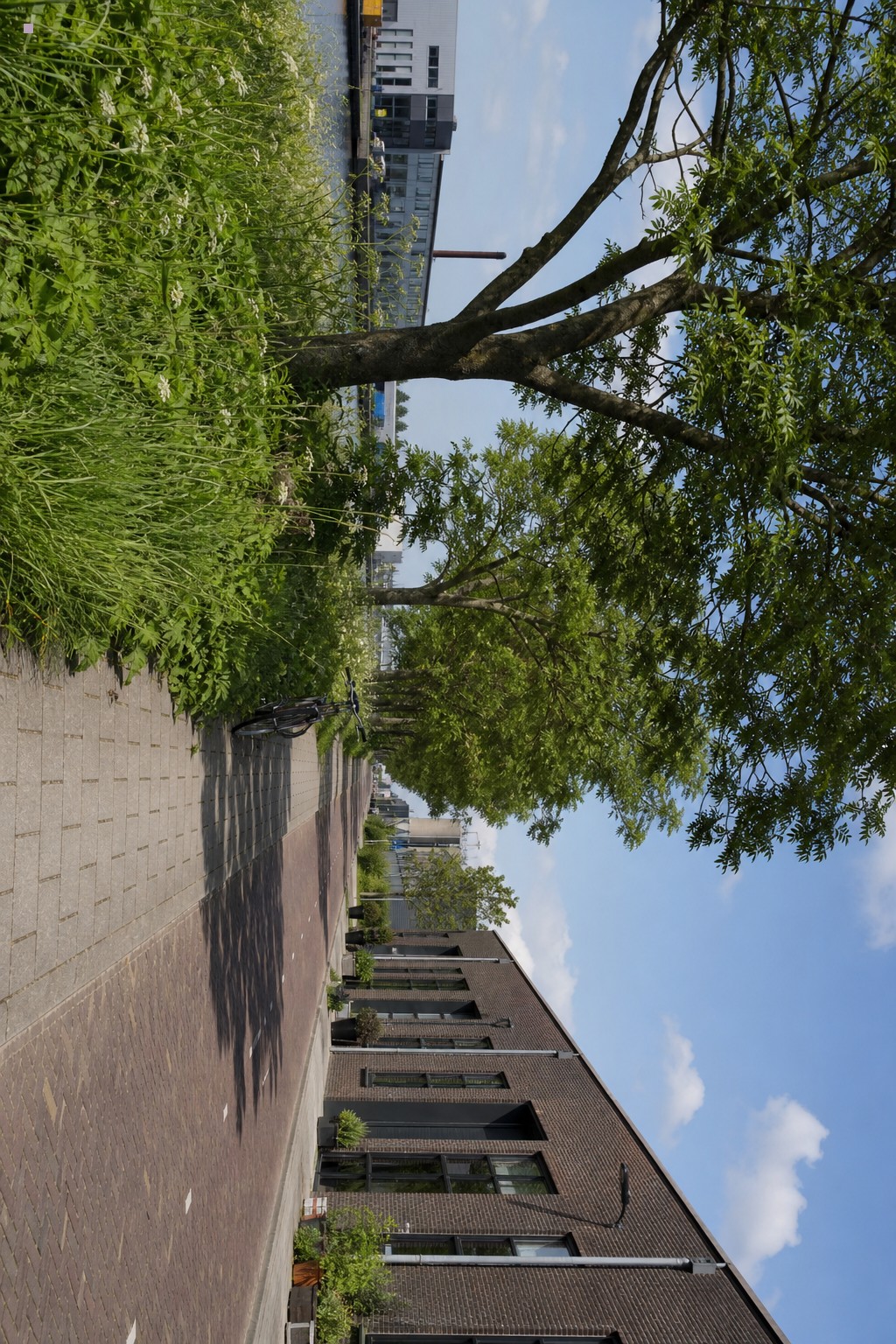 Rustige lokale omgeving met weg, groen en bedrijfsgebouwen