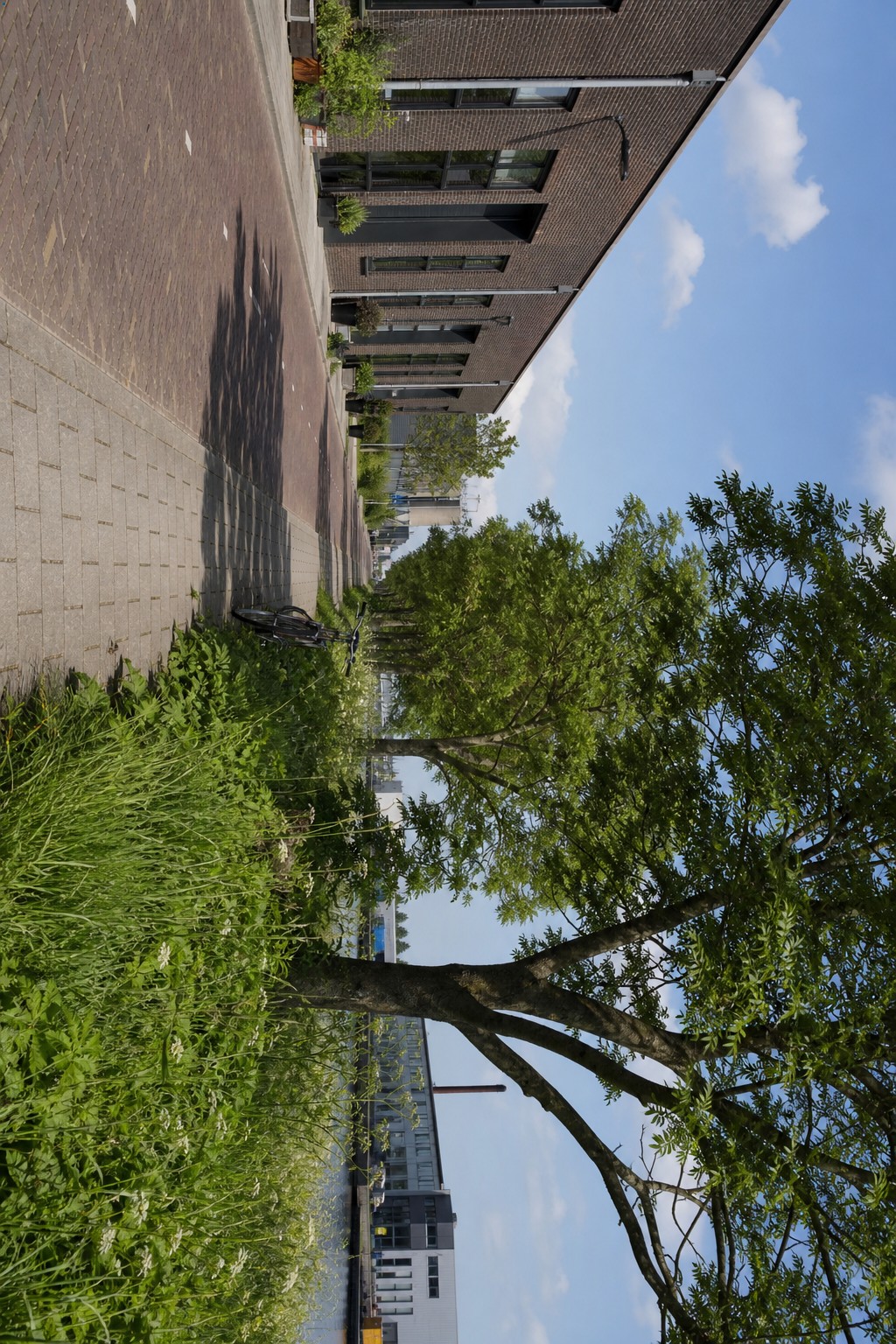 Rustige lokale omgeving met weg, groen en bedrijfsgebouwen