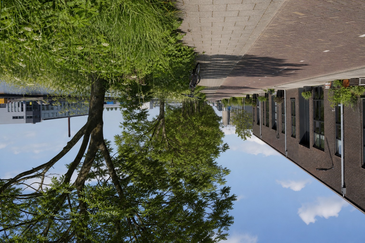 Rustige lokale omgeving met weg, groen en bedrijfsgebouwen