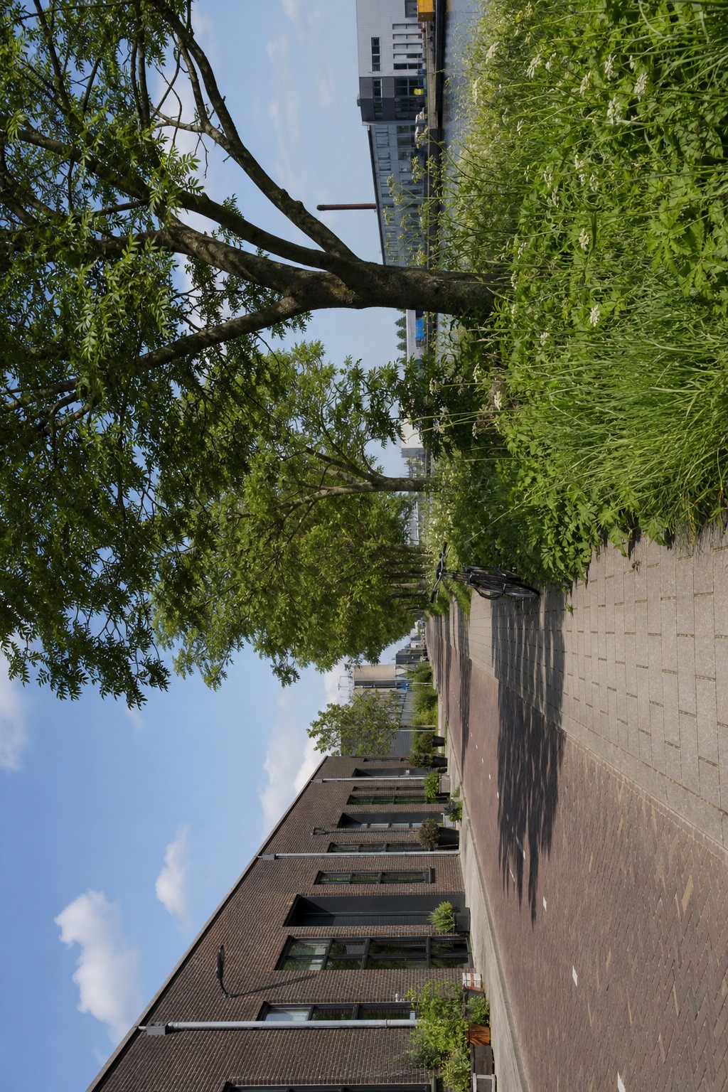 Rustige lokale omgeving met weg, groen en bedrijfsgebouwen