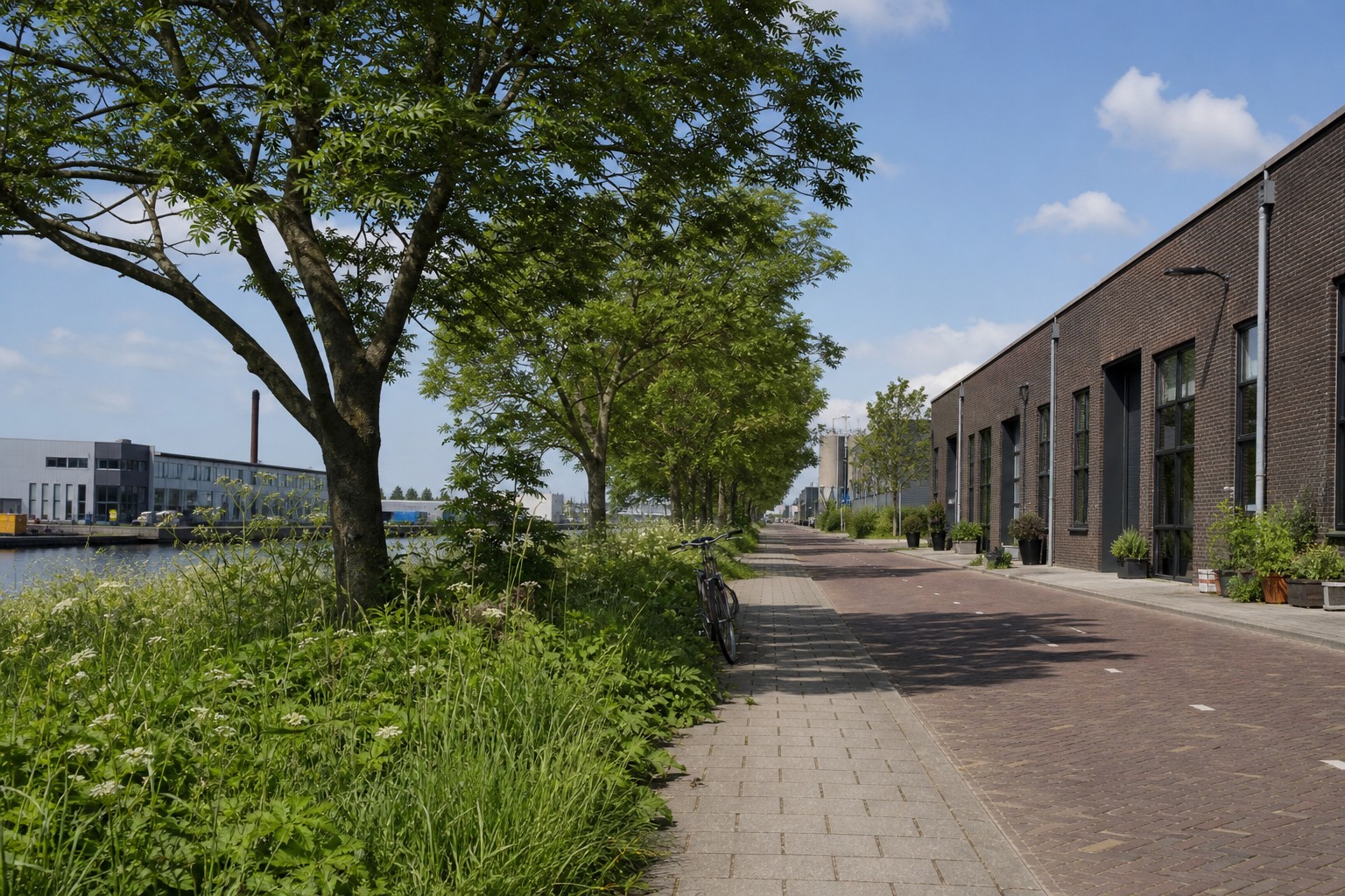 Rustige lokale omgeving met weg, groen en bedrijfsgebouwen
