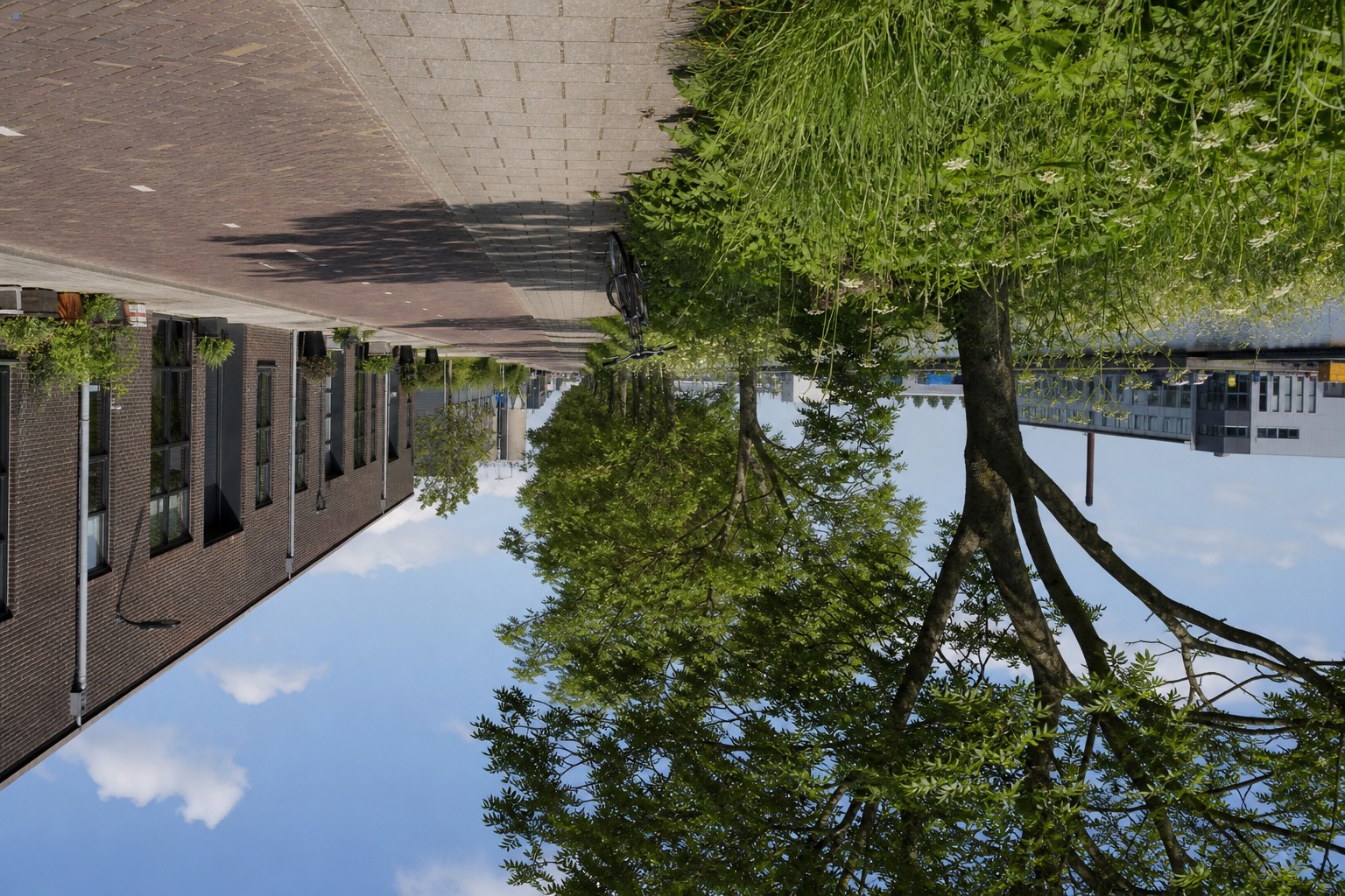 Rustige lokale omgeving met weg, groen en bedrijfsgebouwen
