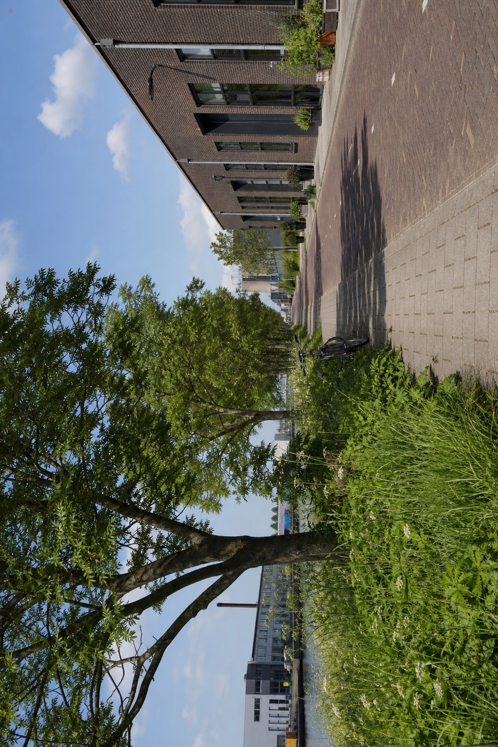 Rustige lokale omgeving met weg, groen en bedrijfsgebouwen